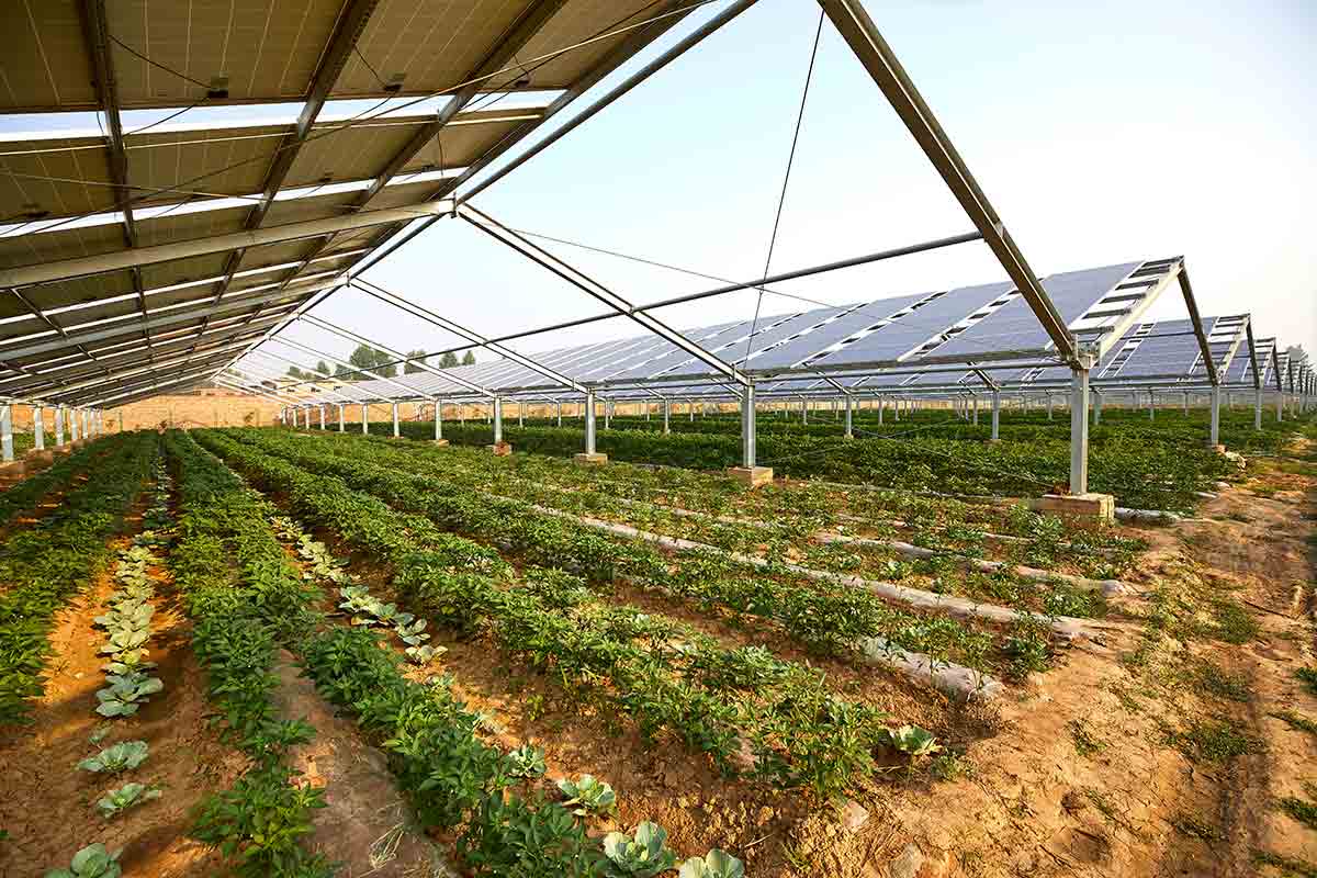 benefici-per-il-territorio-comunita-energetiche-nonantola-modena