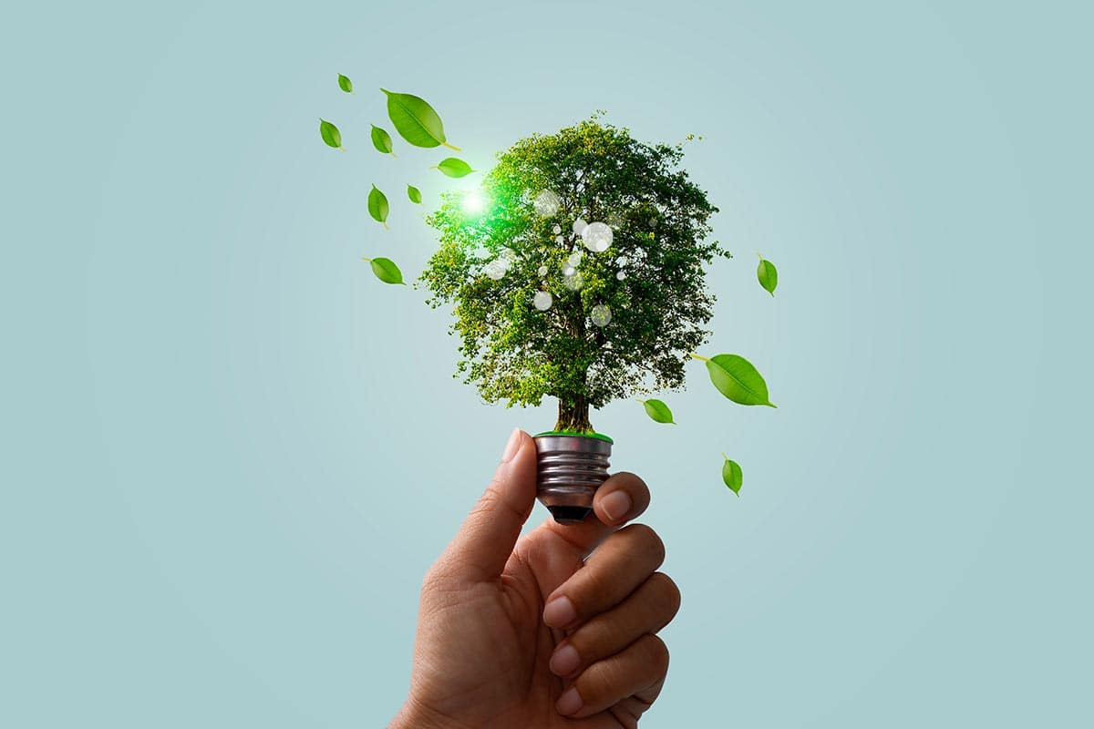 riduzione-emissioni-co2-impianti-fotovoltaici-cer-ferrara