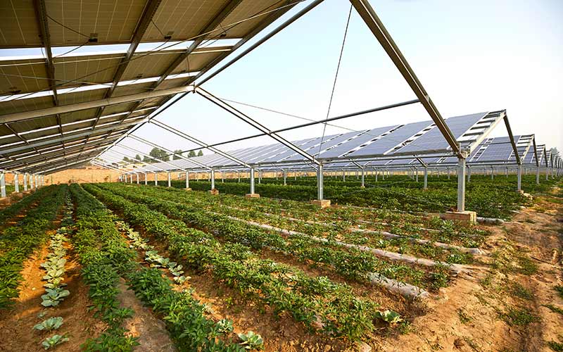 servizi-efficientamento-energetico-fotovoltaico-modena